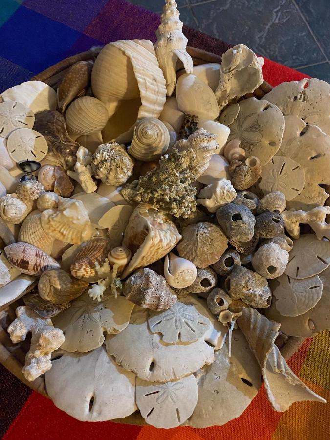 לאס טבלאס Uverito Sand Dollar B&B מראה חיצוני תמונה