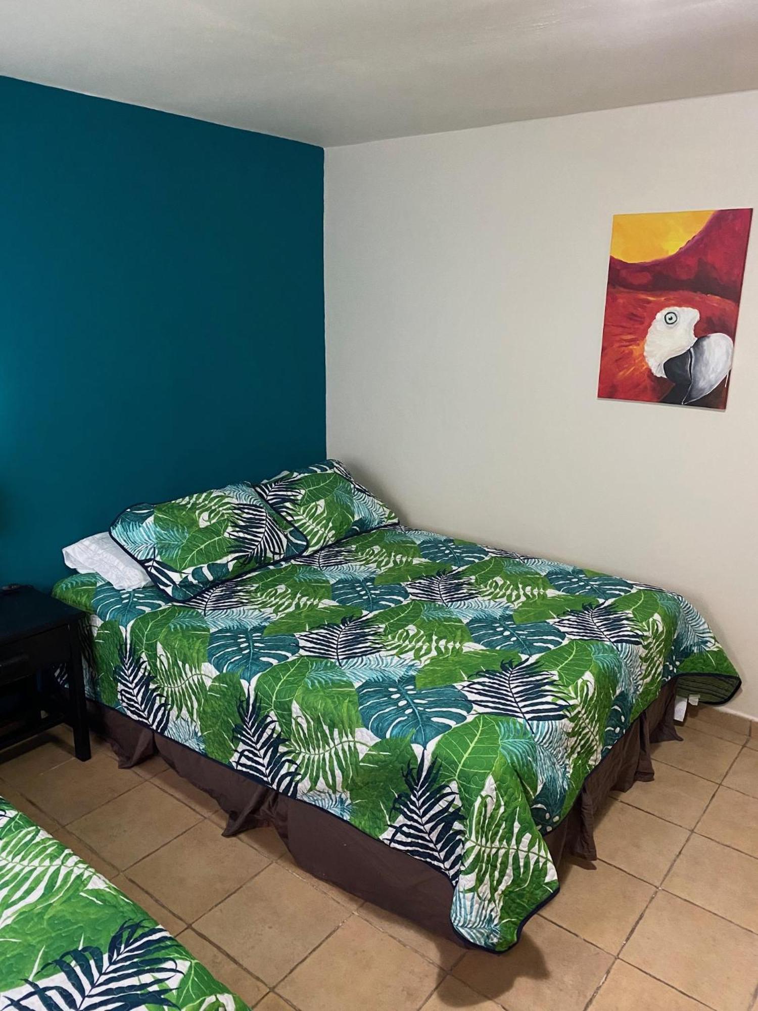 לאס טבלאס Uverito Sand Dollar B&B מראה חיצוני תמונה